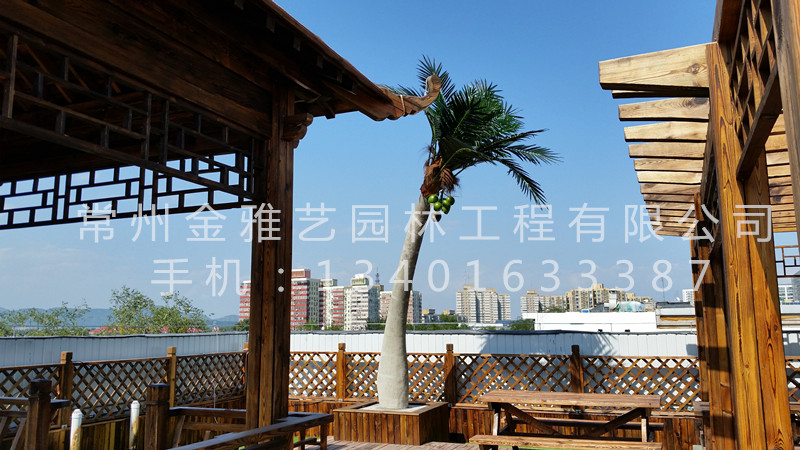 北京市八一中學(xué)屋頂花園2